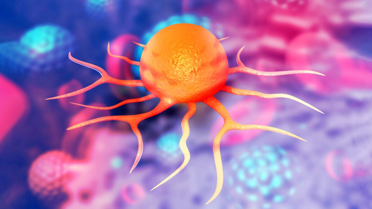 Bowel cancer’s “sugar shield” removed to reawaken immune defenses