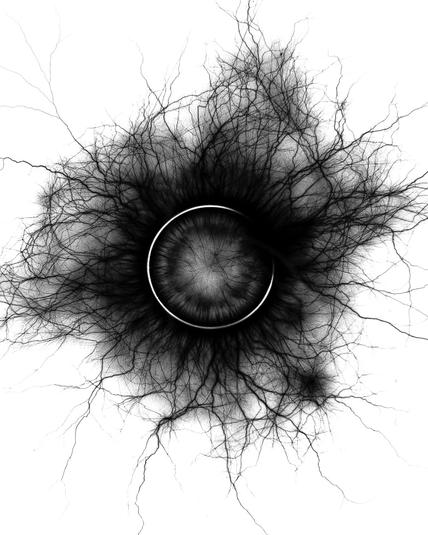 Tantalum Spark 2015 from Material studies: Spark rings 2015 inkjet prints National Gallery of Victoria, Melbourne Purchased, Victorian Foundation for Living Australian Artists, 2017 ©Sean O’Connell/Licensed by Viscopy, Australia