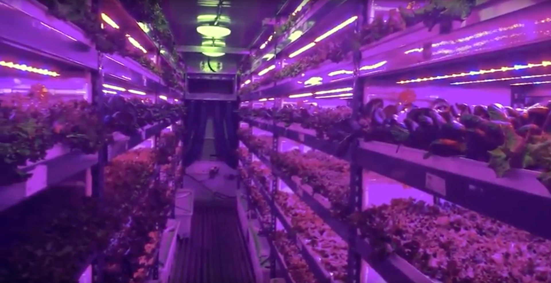 The world's largest vertical farm is due to be built in Dubai, to cater to Emirates Airlines passengers