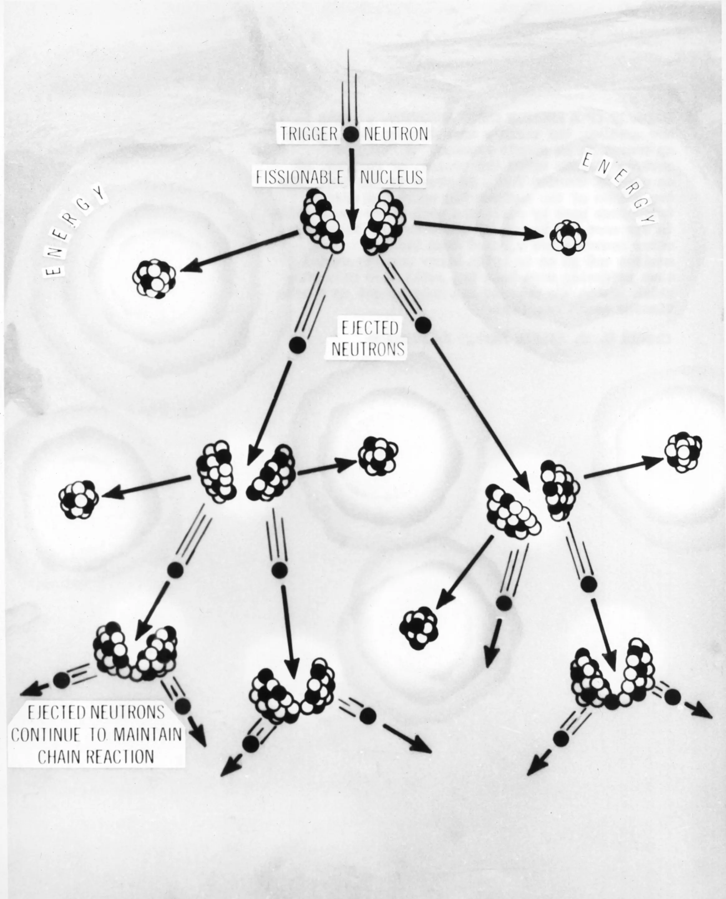 Diagram of the fission chain reaction