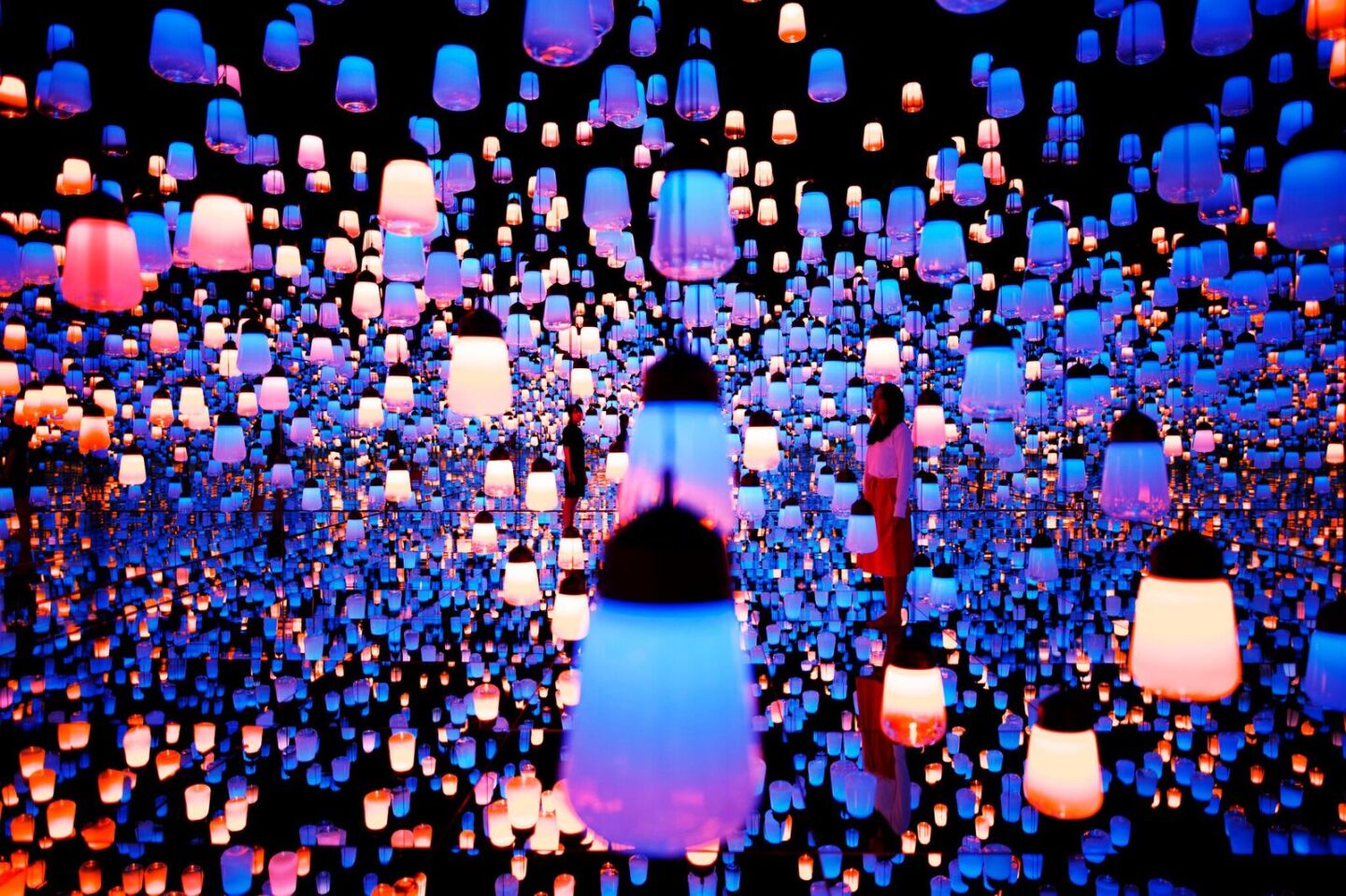 Tokyo's spectacular digital art museum makes visitors part of the art