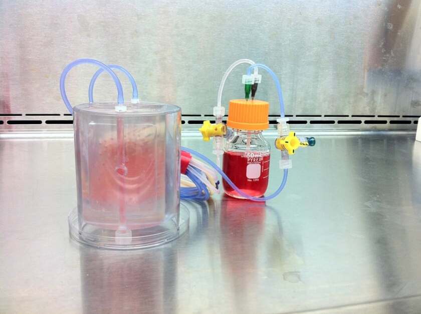 An artificial bone matrix that eventually fused with a pig jaw was grown this bioreactor, which was shipped across country to test its resiliency