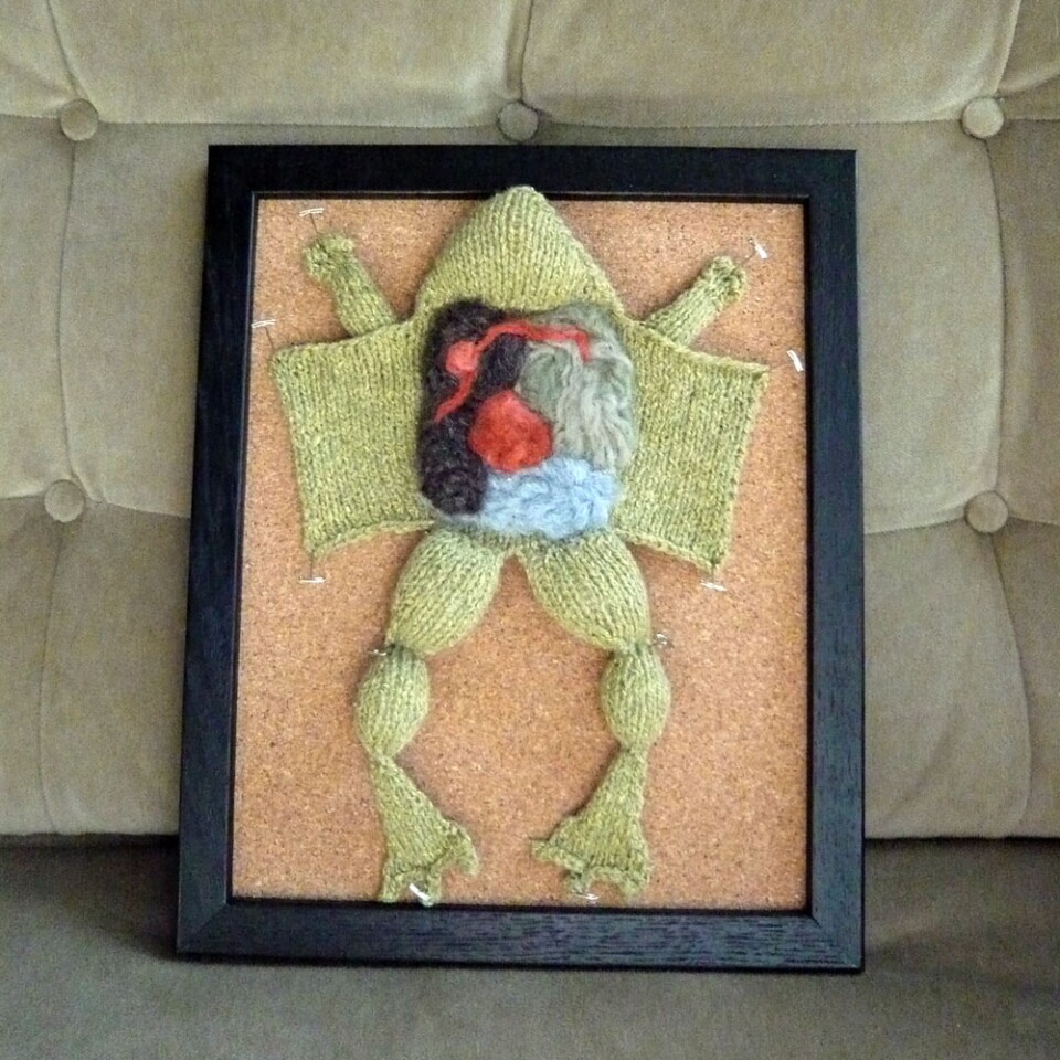 One of Emily Stoneking's stuffed dissections