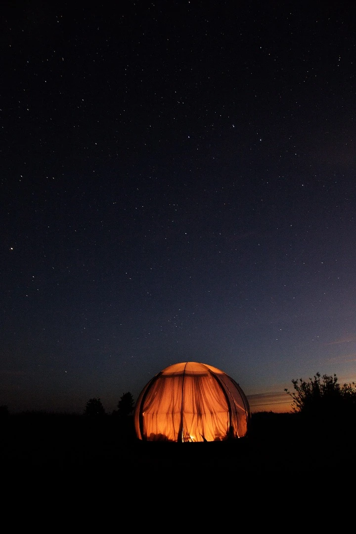 The Oasis dome features a series of fixed curved arches made from segmented veneer and a weather resistant clear skin
