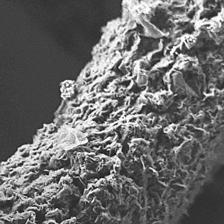 A scanning electron microscope image of the new 3D-printed graphene, zoomed in to a scale of 1 micrometer
