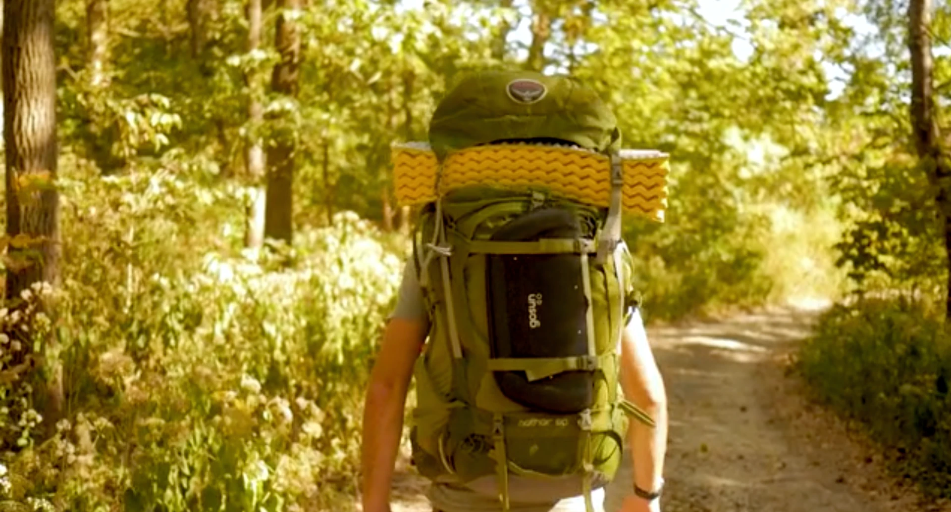 The new Go comes in a clam shell carry case
