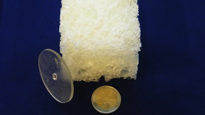Scientists from the University of Amsterdam have developed a range of new thermoset resins made from plant materials (Image: Gadi Rothenberg)