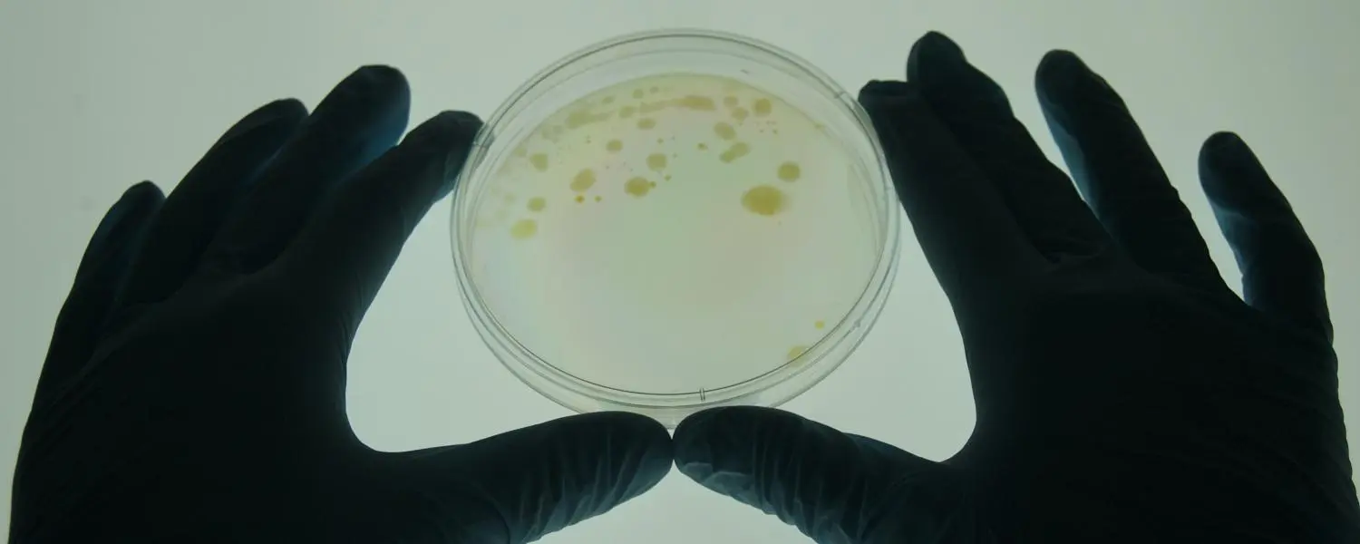 Ambitious new research suggests a probiotic-based vaccine could be developed that protects against stress, anxiety and depression