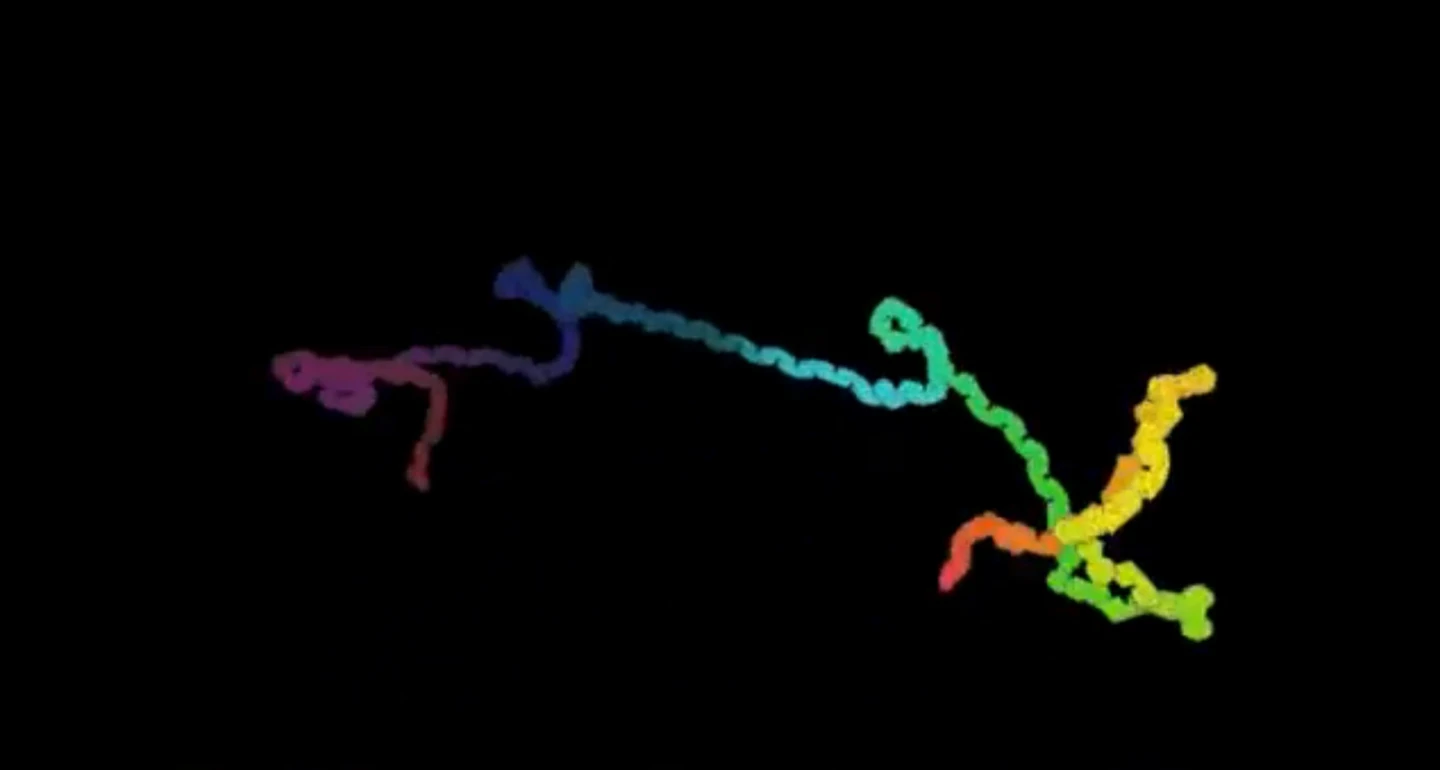 The MIT milli-motein is based on a protein molecule seen here in simulation