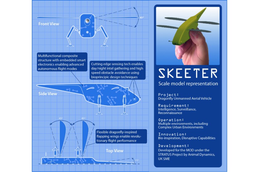 Skeeter infographic