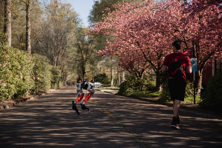 Cassie the bipedal robot in action