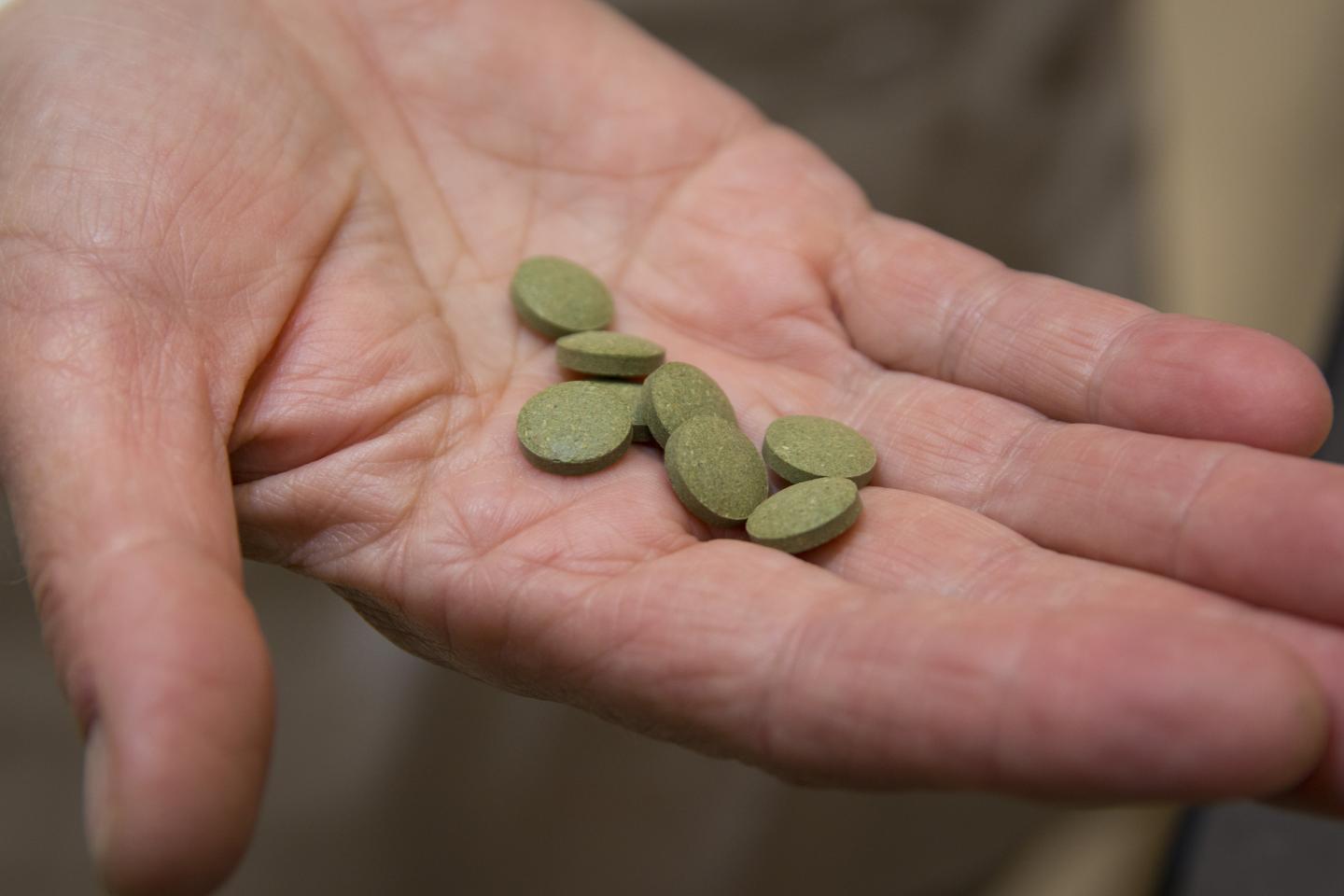 The tablets made from the Artemisia annua plant