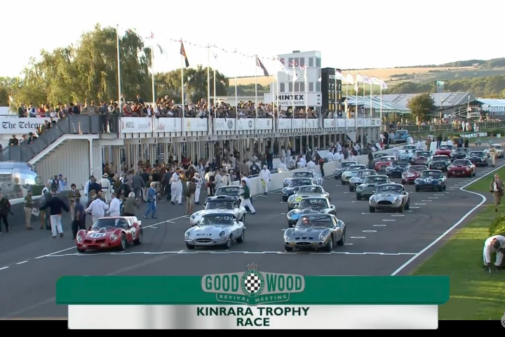 The Kinrara Trophy race at Goodwood Revival included a Ferrari 250 GTO, an even rarer Ferrari 330 GTO, nine Ferrari 250 GT SWBs, four Aston Martin DB4 GTs, a pair of Austin Healey 3000s, two AC Cobras, and eight Jaguar E-types.