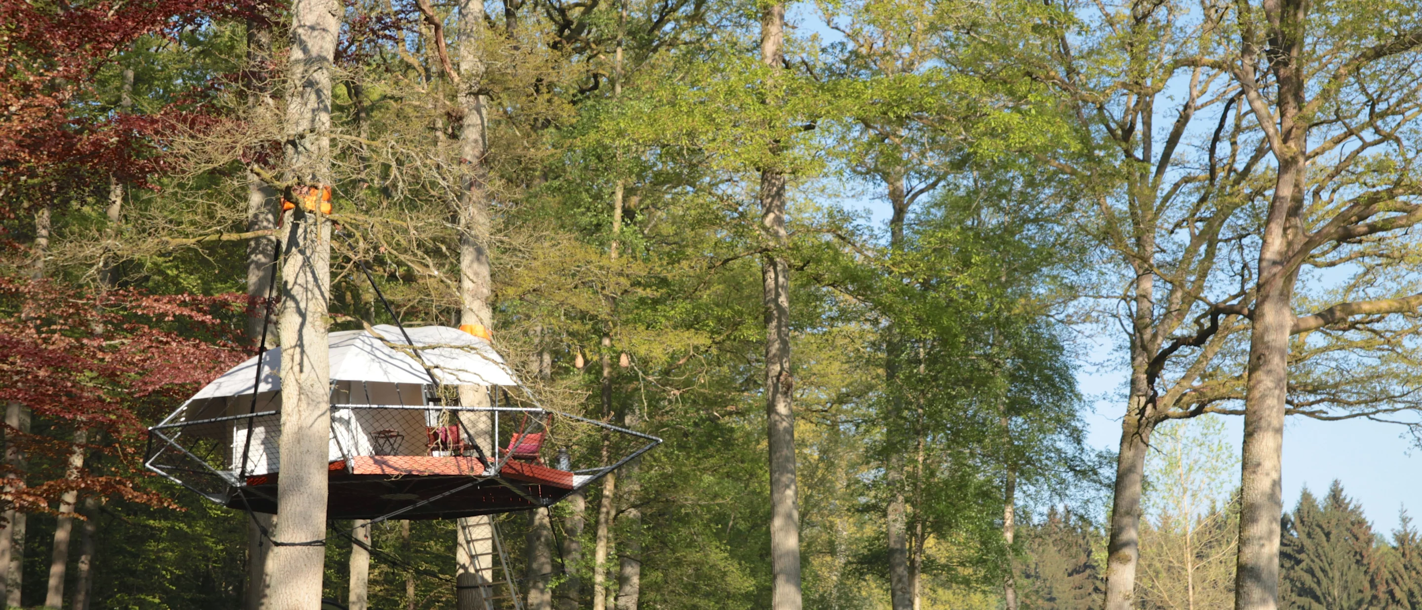 Dom'Up takes as little as two days to be fully installed and can stay in the trees for decades