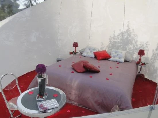 The bubbles are furnished with a king-sized bed, nightstands, reading lamps, and a set of table and chairs, all of which have been designed to fit different styles for guests to choose from