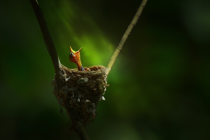 WINNER 'First Light'. Bogra, Bangladesh