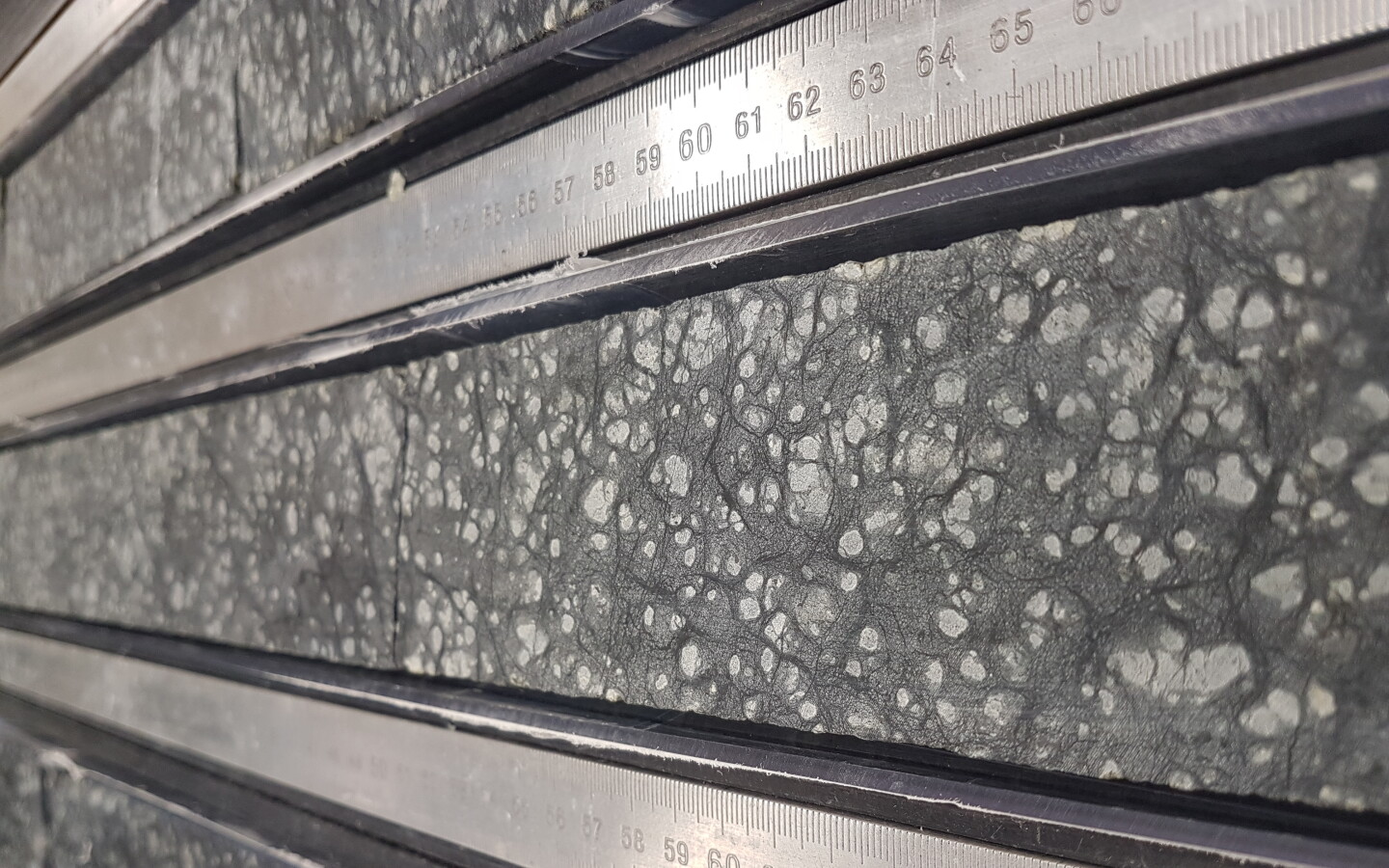 Samples of serpentinized peridotite cores drilled from the seabed