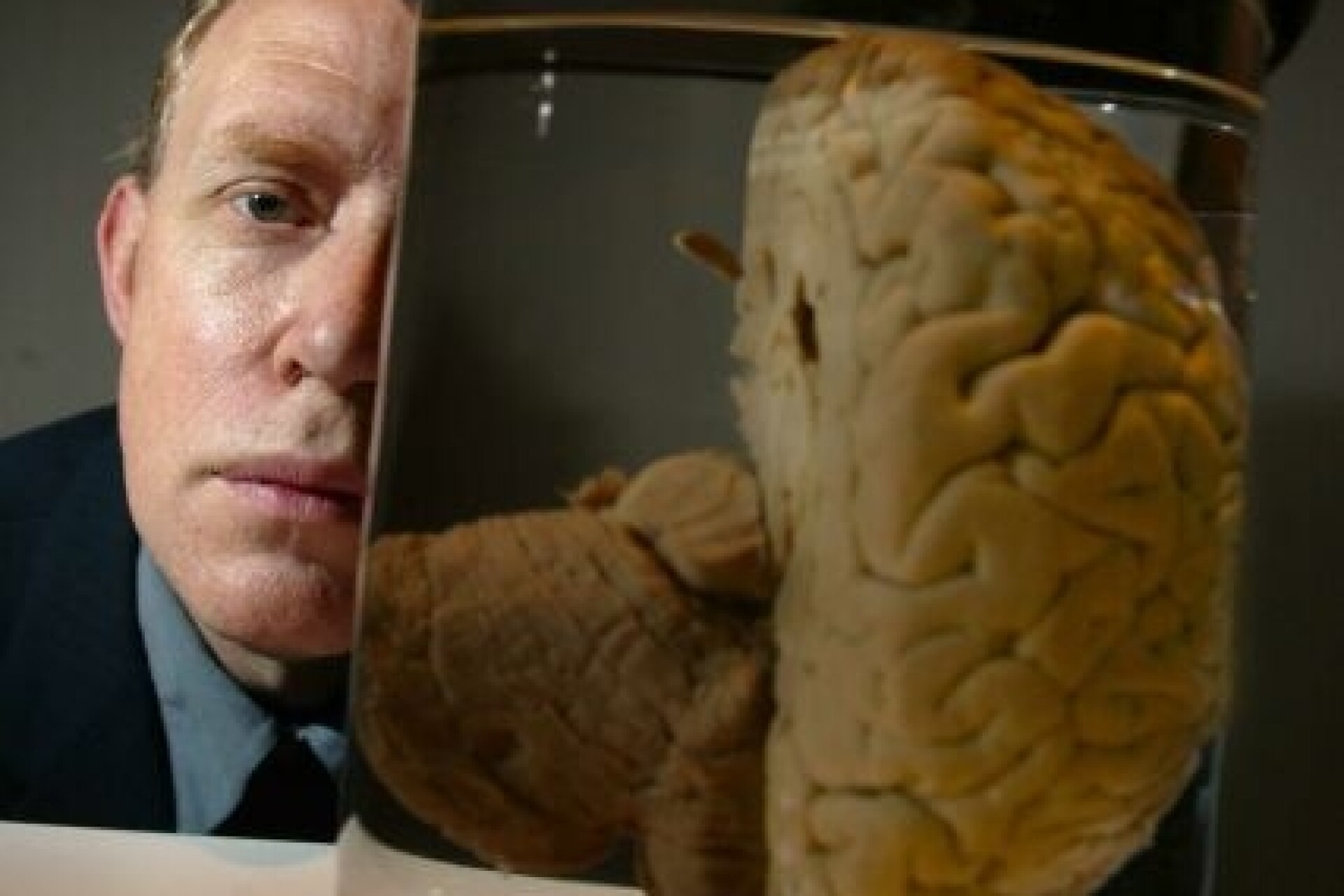 Charles Babbage the brain that invented the computer