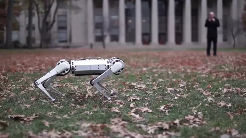MIT's Mini Cheetah robot can do backflips
