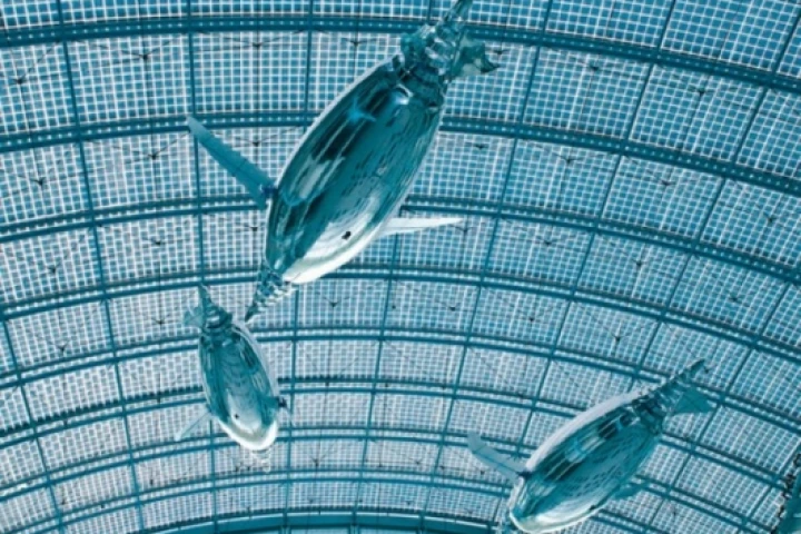 The space age looking AirPenguins