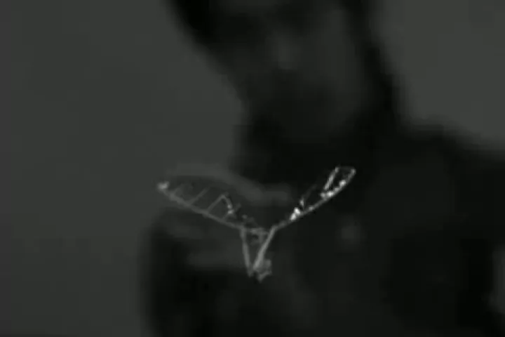 A still from the just-released video of the ornithopter in action
