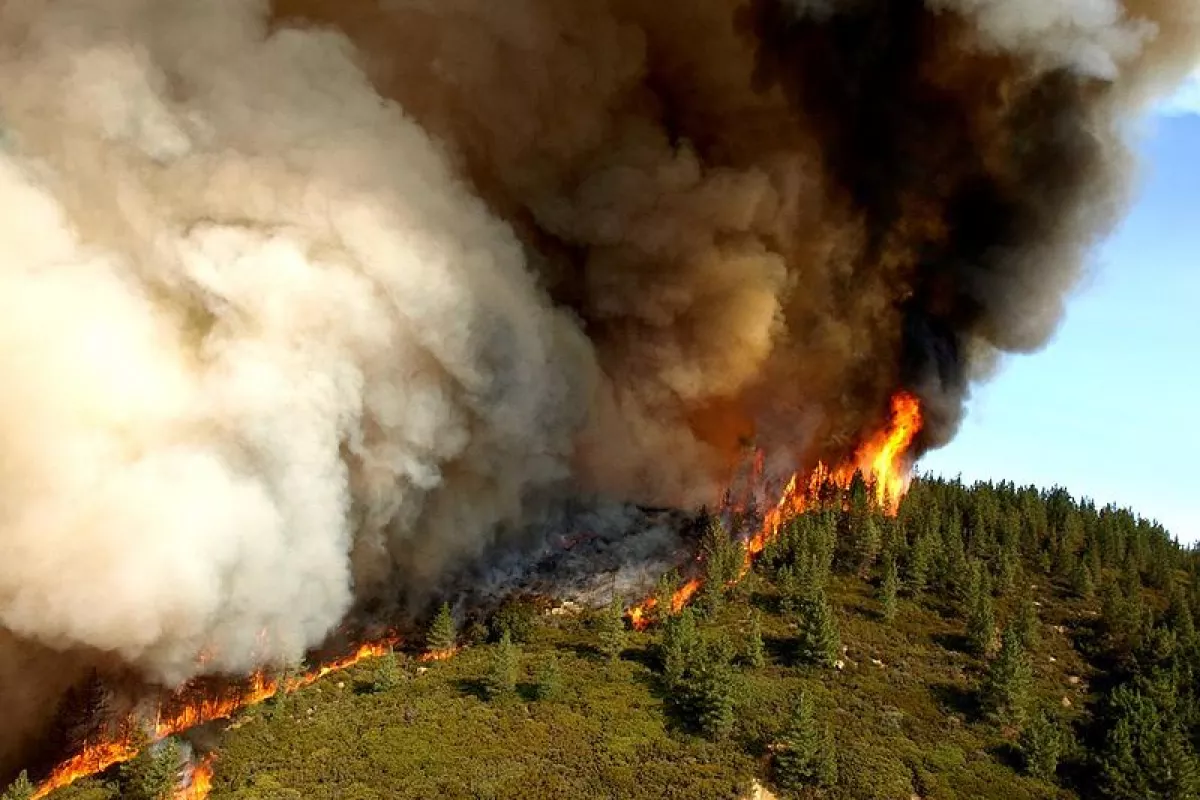 Zaca Fire, near Santa Barbara, California, in 2007. Credit: U.S. Forest Service by John Newman
