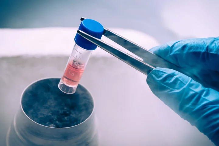 The FDA is taking on the large network of stem cell treatment centers in the US that offer unproven medical treatments
