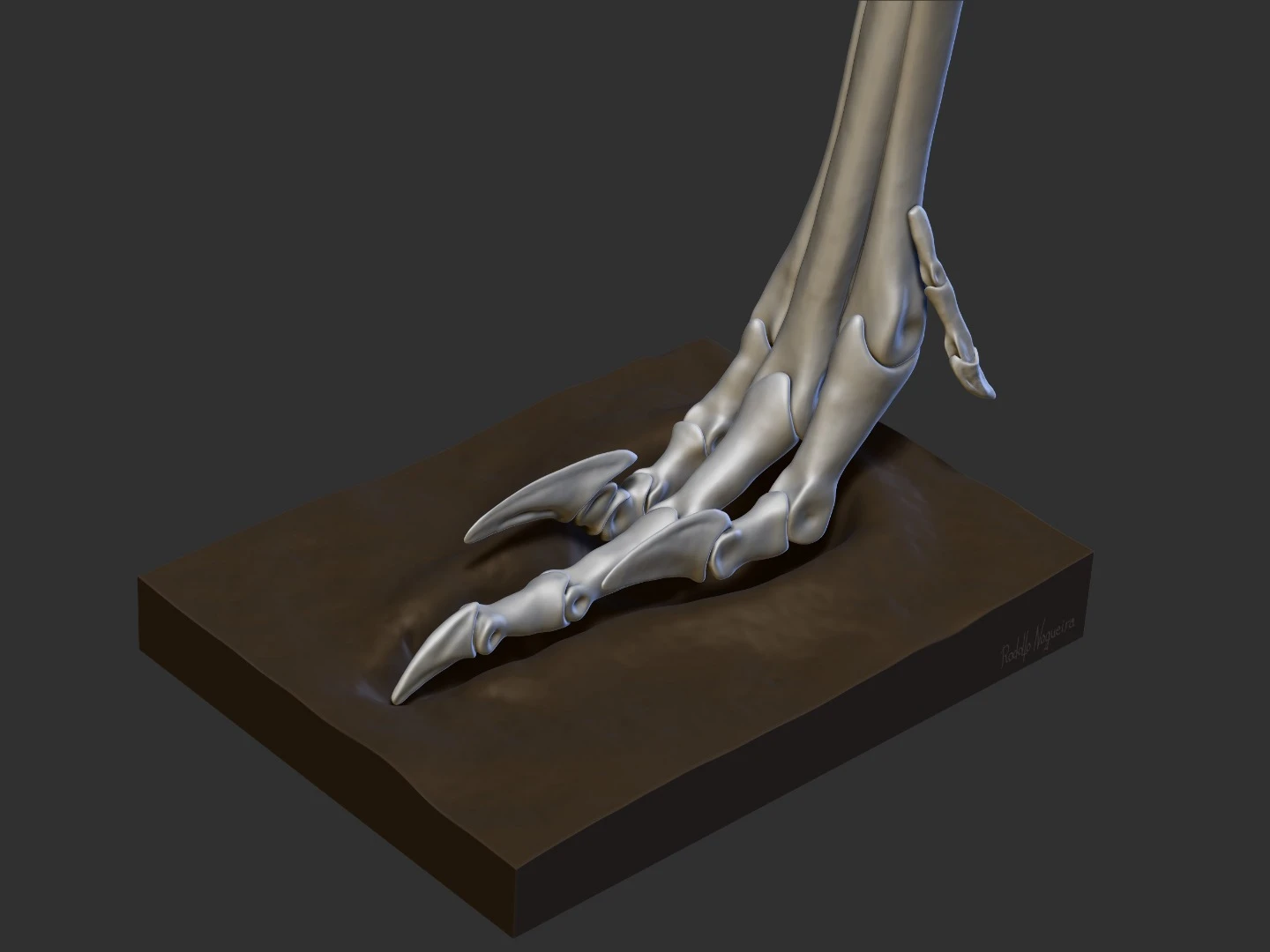 A digital reconstruction of Vespersaurus' foot helped scientists match it up to strange fossilized footprints found in the 1970s