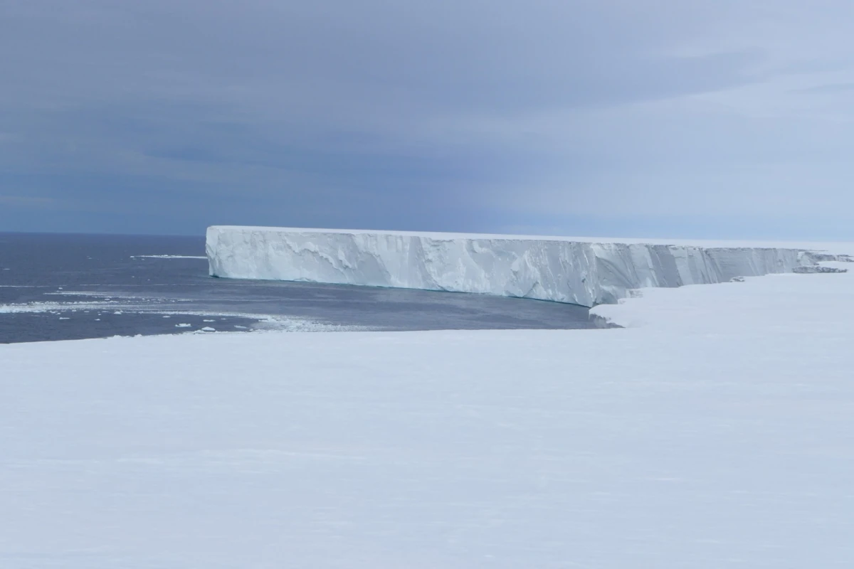 The wall of the Ross Ice Shelf stretches for a staggering 600 km (373 miles) in length