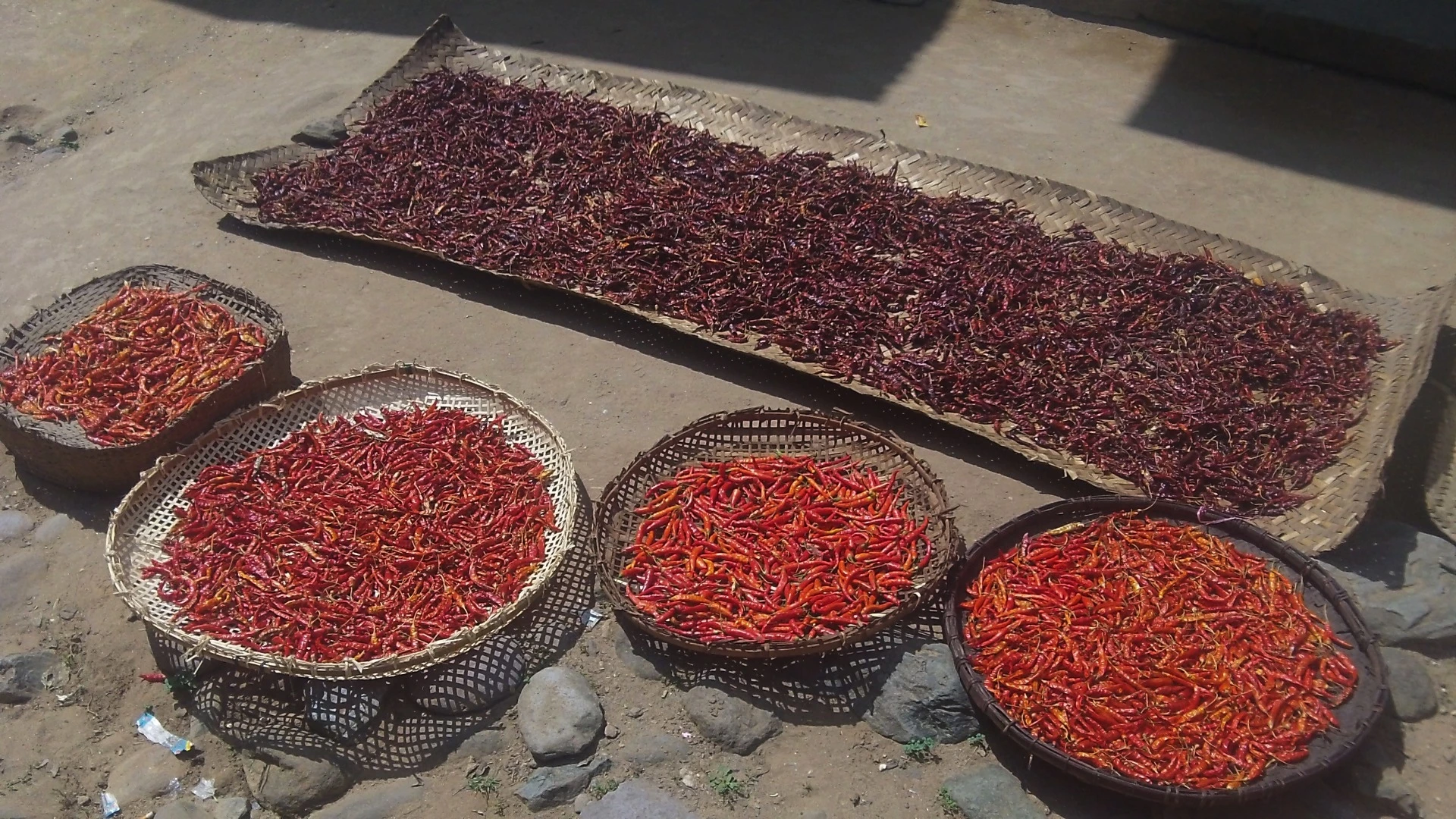Drying chilis one one of the village paths
