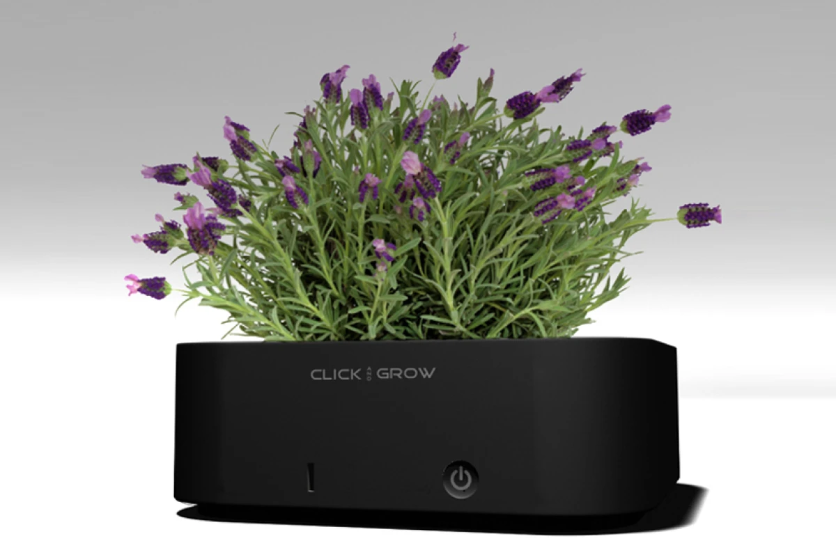 Click & Grow pots make growing houseplants a set & forget exercise