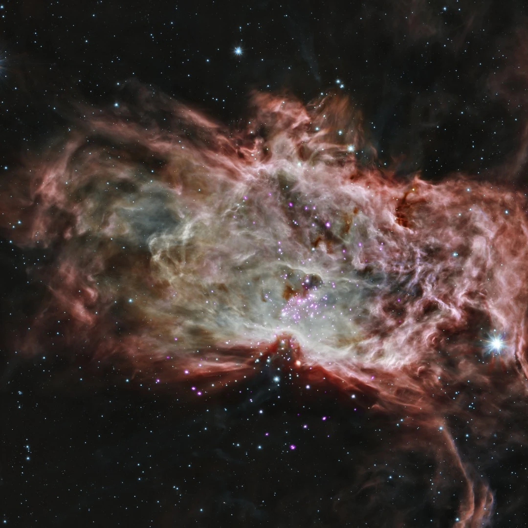 This image, from the heart of the Flame Nebula about 1,400 light-years away, is made up of Chandra X-ray data (purple) and Spitzer infrared data (red, green and blue).