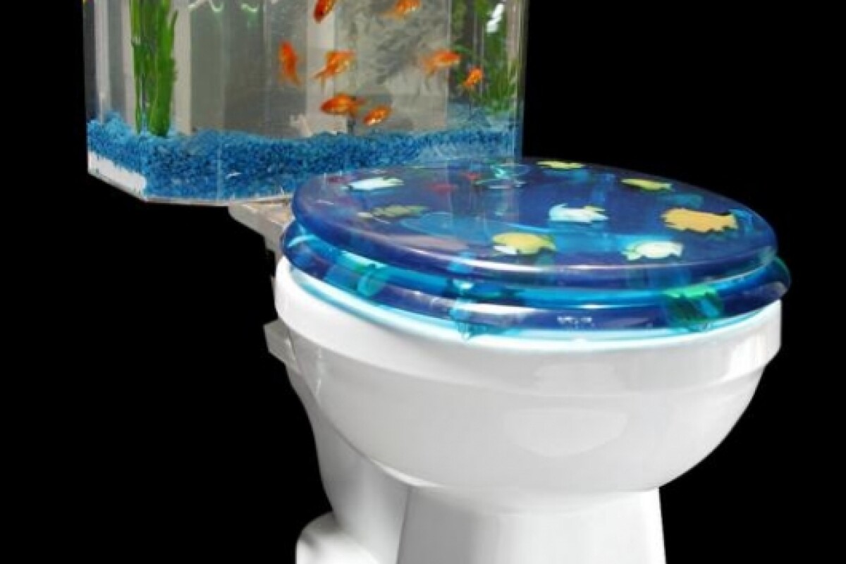 The FishNFlush Toilet
