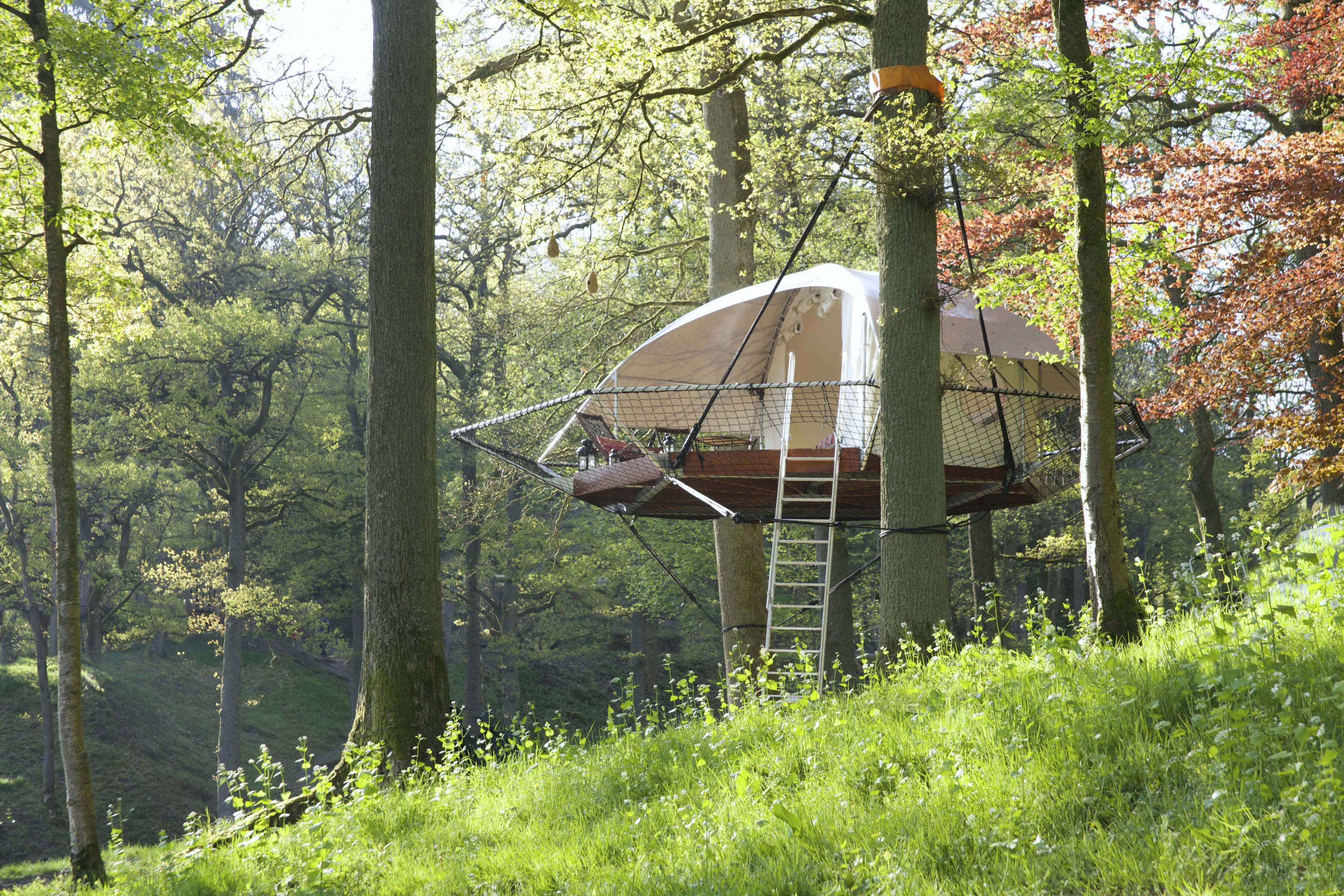Access to the treehouse is by an easy-to-use wooden ladder with hand rails