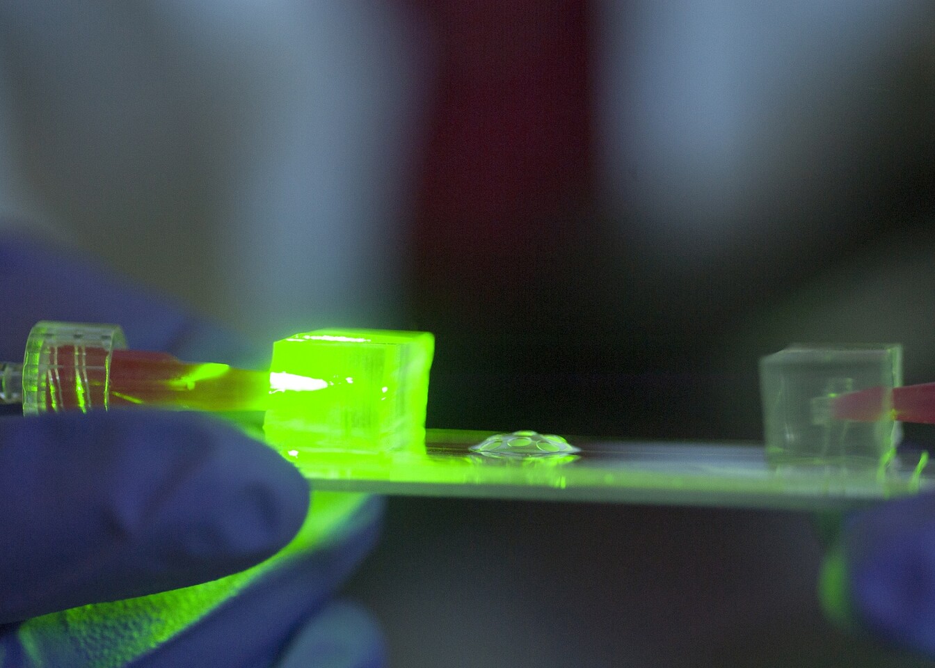 The shape-changing lens could prove beneficial for microscopes and mobile phone cameras (Photo: Jo McCulty, Ohio State University)