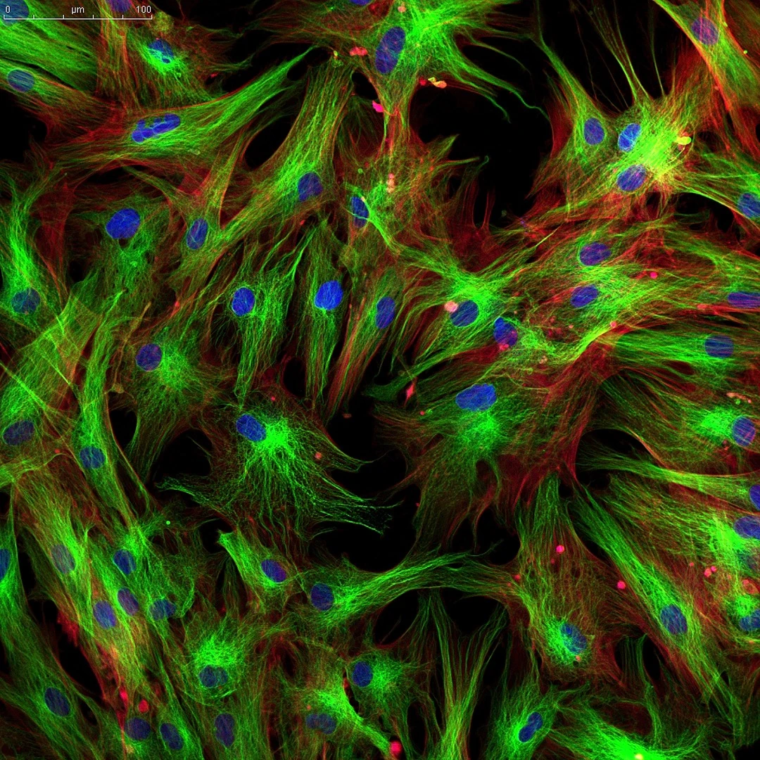 The new method may allow scientists to search for signs of cancer at the cellular level