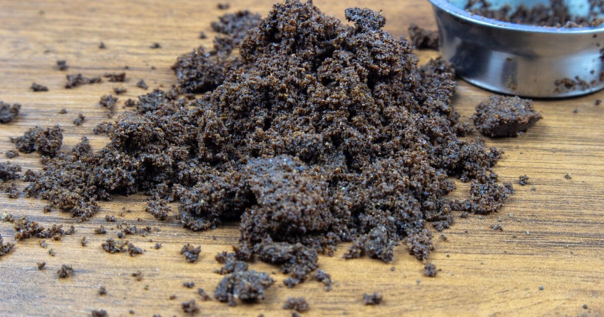 Coffee grounds transformed into eco-friendly insulation material