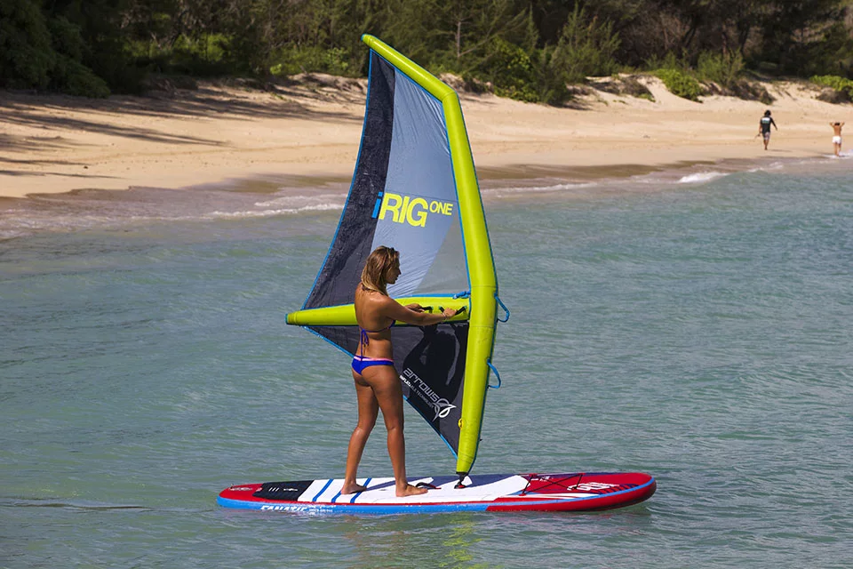 Alice Arutkin on the iRig One