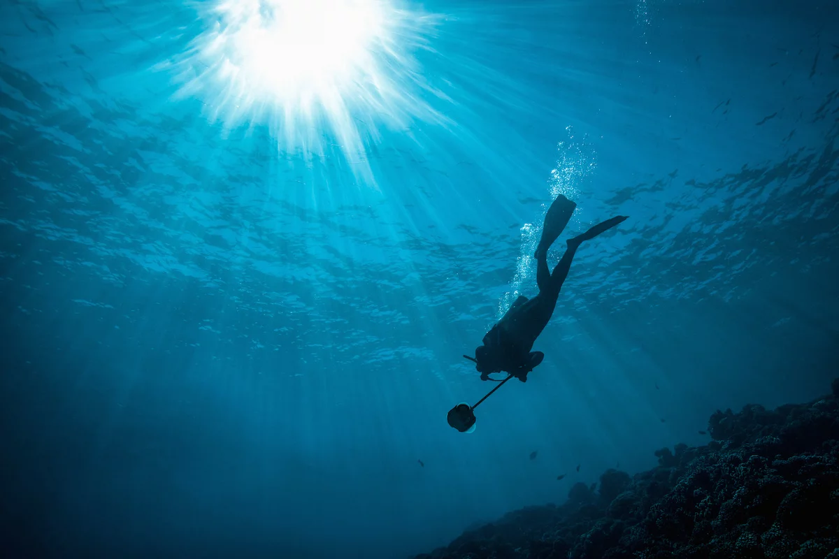 With a price tag of US $14,990, the Boxfish 360 is way beyond the reach of most consumers and aimed at professional filmmakers and research institutes