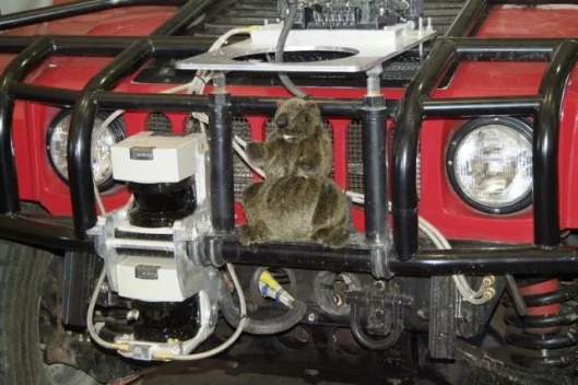 Team Red Too had a mascot for good luck