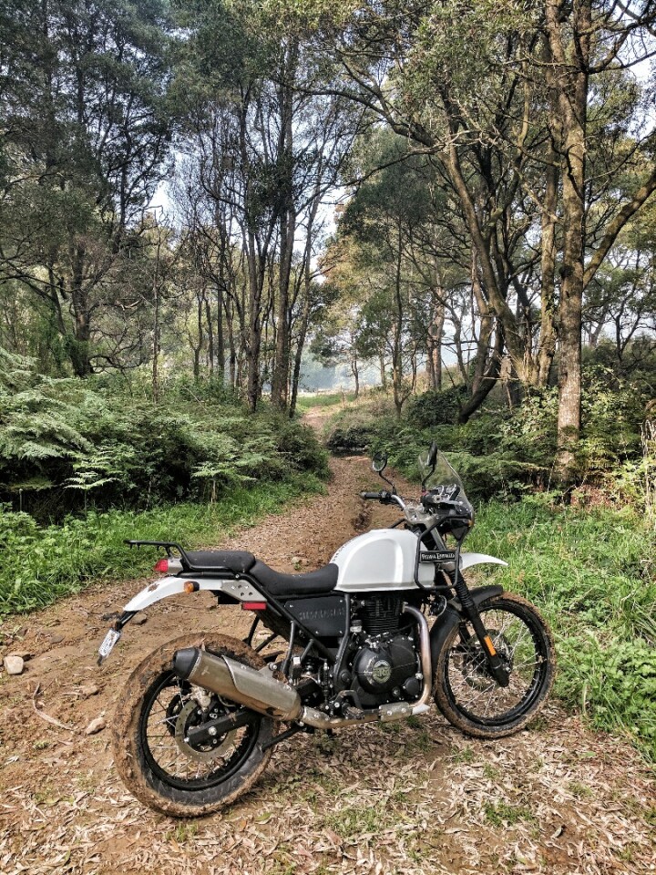 2017 Royal Enfield Himalayan: not a bad off-roader, but could've done with chunkier tyres for the muddy tracks we went exploring on!