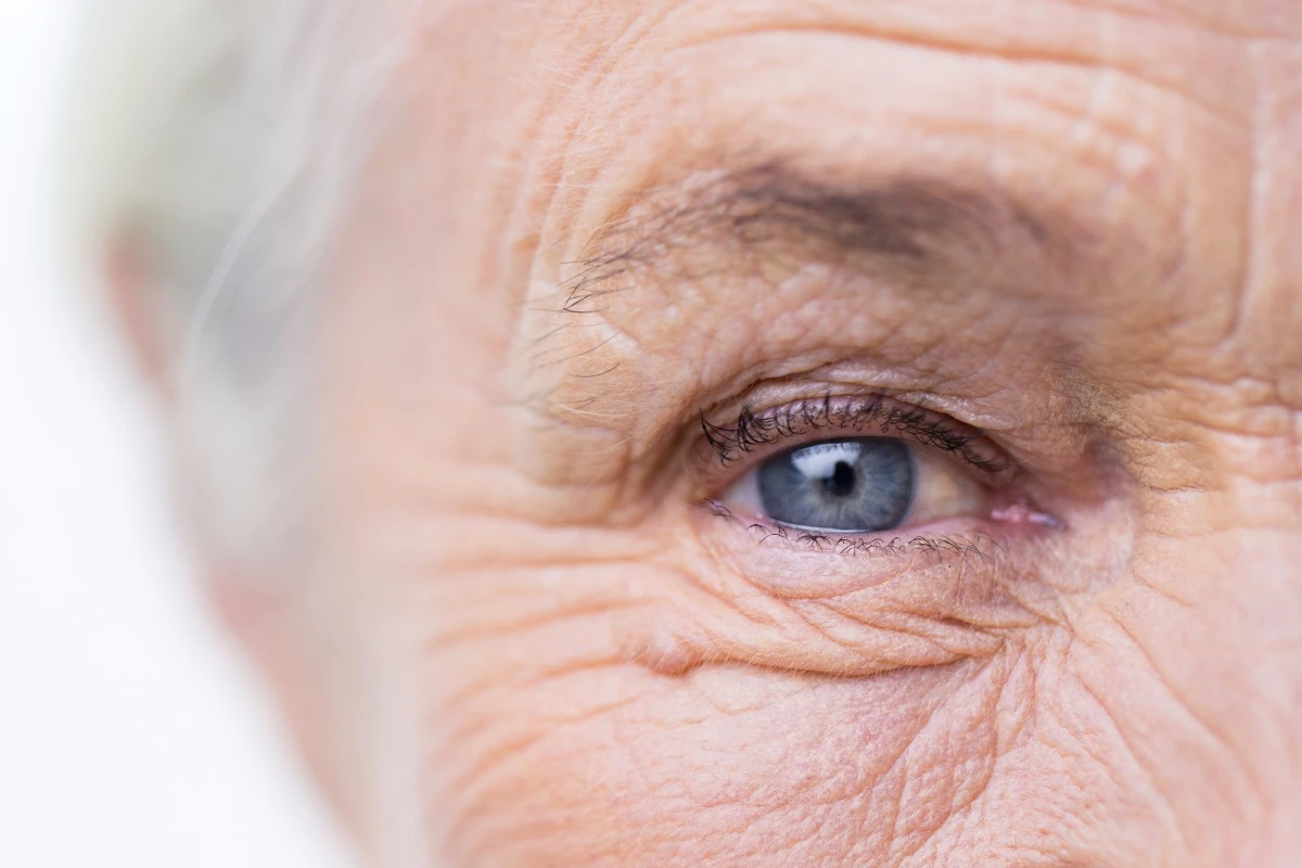 Researchers have discovered that our innate holistic processing abilities are impaired by Alzheimer's disease