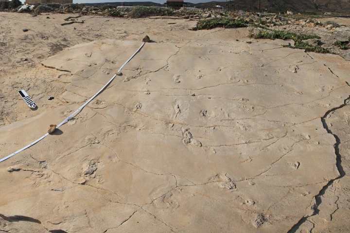 A set of fossilized human-like footprints in Greece may end up rewriting the story of human evolution