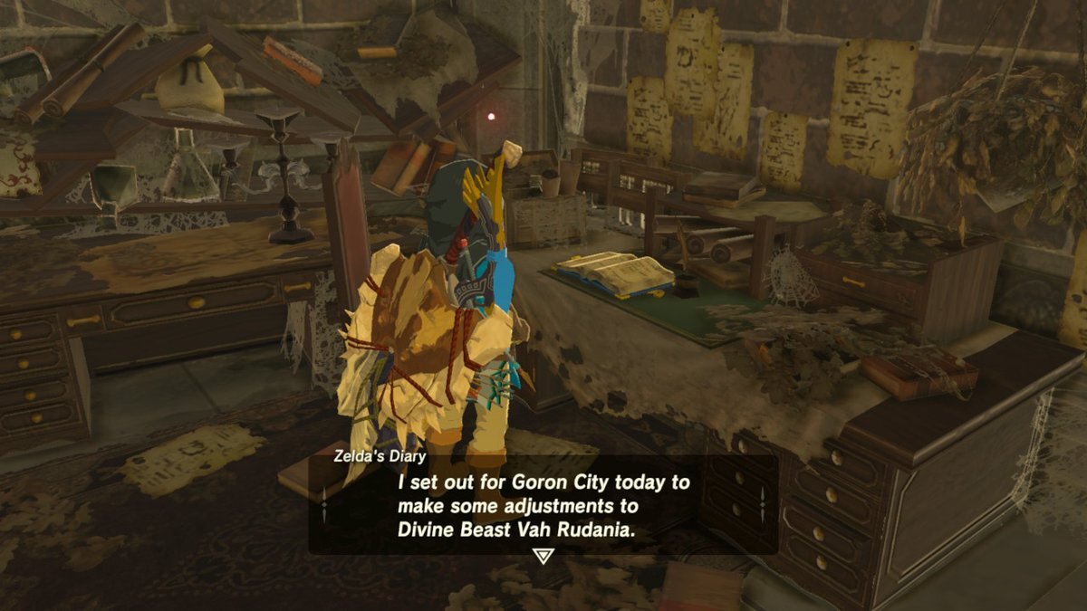 Zelda's diary