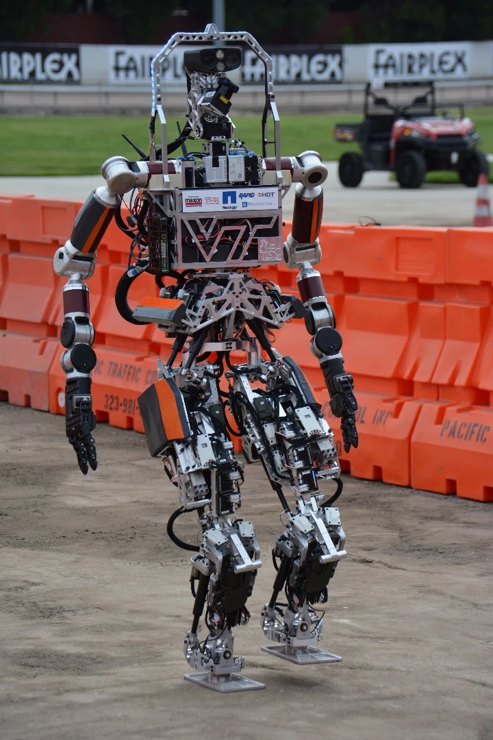 Valor walking