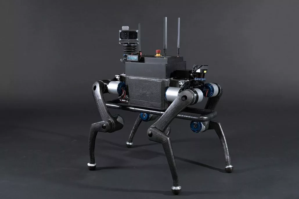 An earlier iteration of Anymal