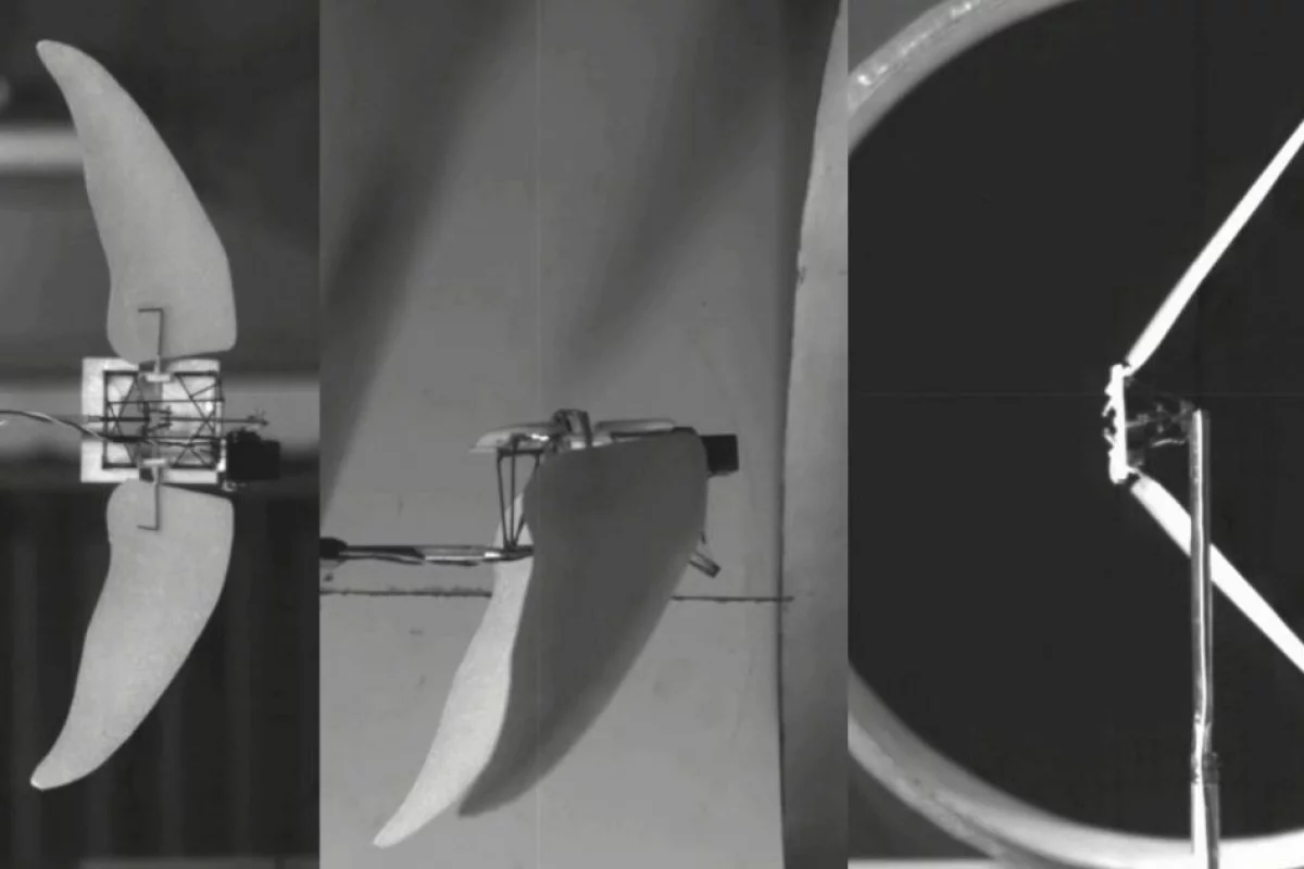 Researchers inspired by the wings of swifts and swftlets have developed an experimental Micro Air Vehicle which combines flapping and gliding flight modes for improved efficiency