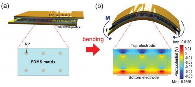Bending the nanogenerator produces a difference of potential between the two electrodes (Image: KAIST)