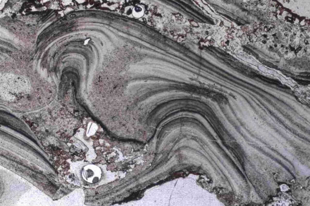 The presence of geyserite, a mineral that forms only in hot springs, indicated to the researchers that the Pilbara area was once home to hot springs some 3.48 billion years ago, which may have given rise to life