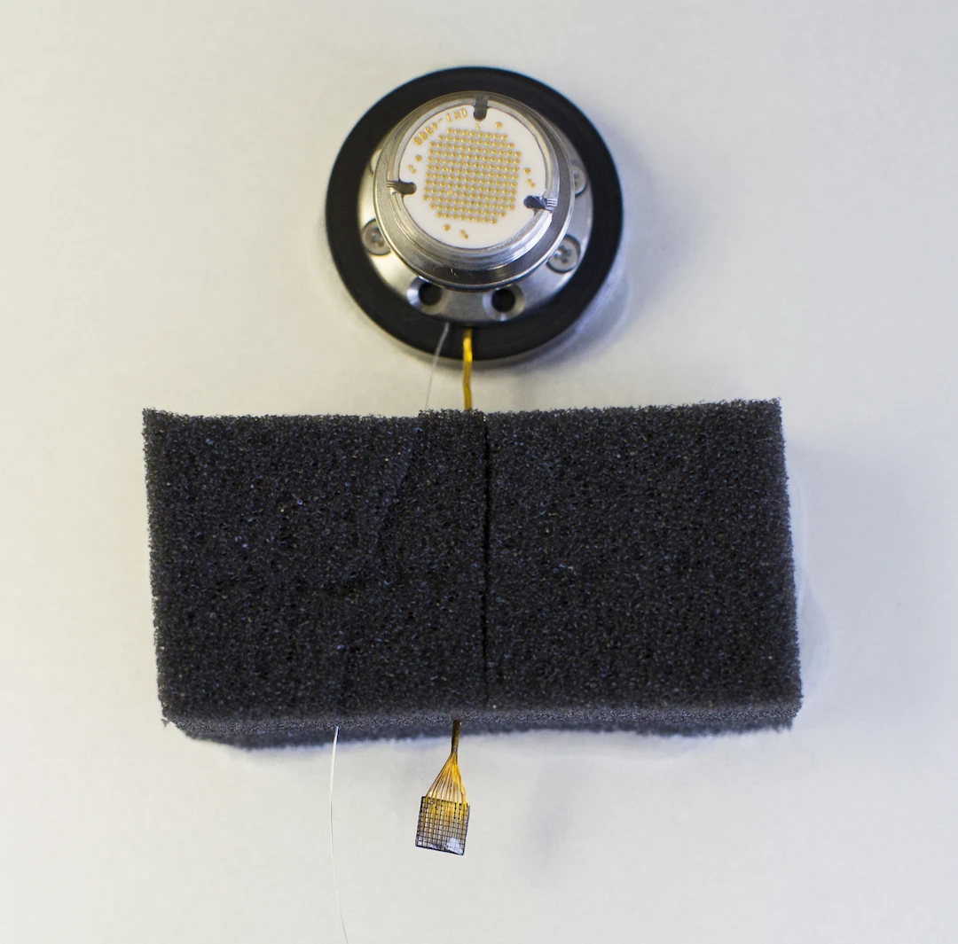 Through the implants, microstimulation of the sensory cortex allows the patient to experience feeling other than a tingling sensation